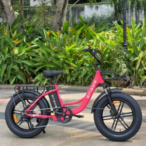 Xe đạp trợ lực điện Engwe L20