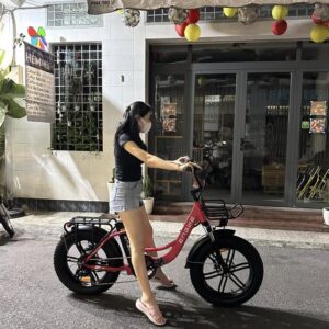 Xe đạp trợ lực điện Engwe L20