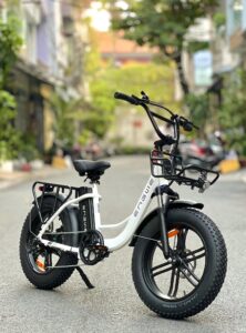 Xe đạp trợ lực điện Engwe L20