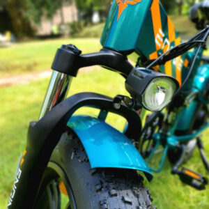 xe-dap-dien-luc-tro-luc-engine-pro-aurora