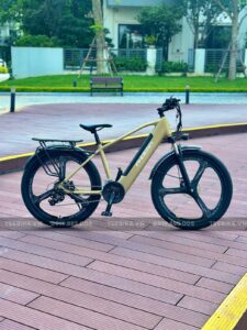 xe đạp trợ lực Phoenix LG