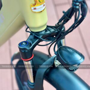 xe đạp trợ lực Phoenix LG