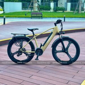 xe đạp trợ lực Phoenix LG