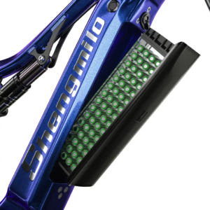 Pin Samsung Lithium 48V – 15Ah (720Wh)