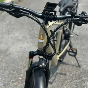 xe đạp trợ lực Phoenix LG