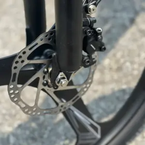 xe đạp trợ lực Phoenix LG