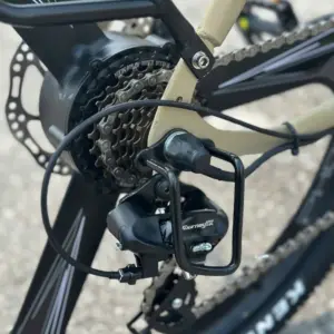 xe đạp trợ lực Phoenix LG