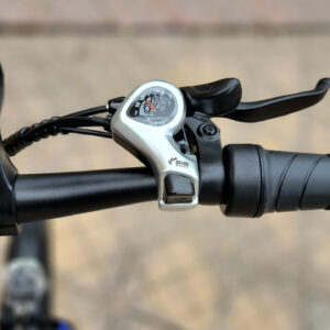 Xe đạp trợ lực điện Engwe P26