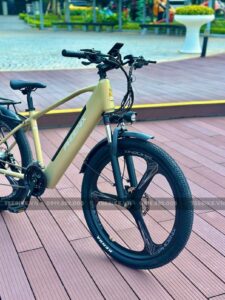 xe đạp trợ lực Phoenix LG