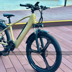 xe đạp trợ lực Phoenix LG