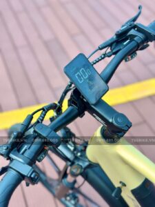 xe đạp trợ lực Phoenix LG