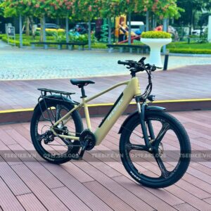 xe đạp trợ lực Phoenix LG