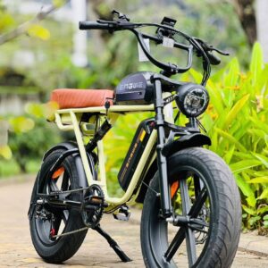 xe đạp trợ lực điện ENGWE M1