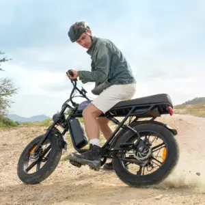 xe đạp trợ lực điện ENGWE M1