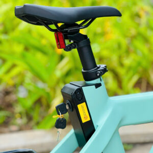 xe đạp trợ lực ENGWE P20