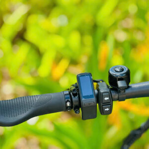 xe đạp trợ lực ENGWE P20