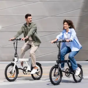 xe đạp trợ lực ENGWE P20