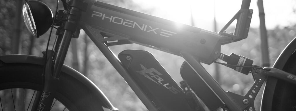 xe dap phoenix co tot khong