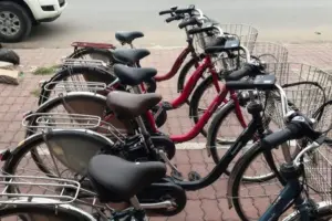 xe-dap-tro-luc-dien-nhat-bai