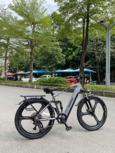 xe đạp trợ lực phoenix M16