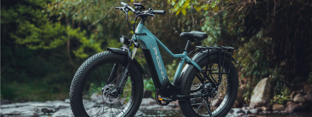 xe dap tro luc phoenix cua nuoc nao