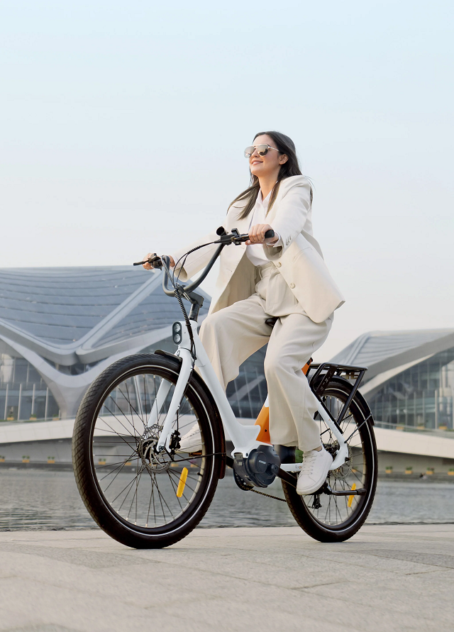 Xe đạp trợ lực trục giữa