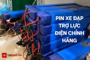 thay pin xe dap tro luc bao nhieu tien