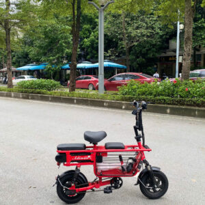 xe dap tro luc adiman