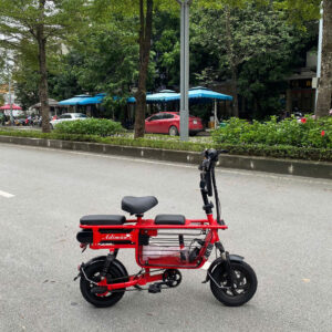 xe dap tro luc adiman