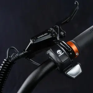 Scooter điện Teverun BLADE GT II