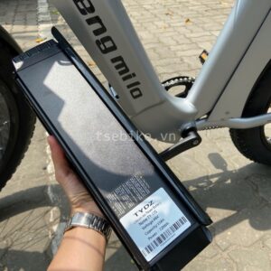 Shengmilo MX04