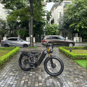 xe đạp trợ lực burchda HC26