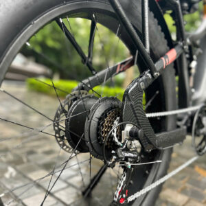 xe đạp trợ lực burchda HC26