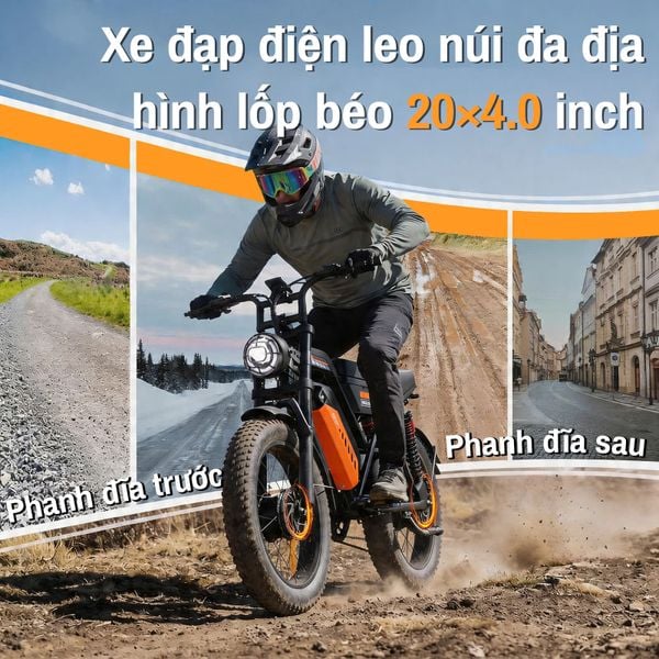 avdl a50 3 avdl a50